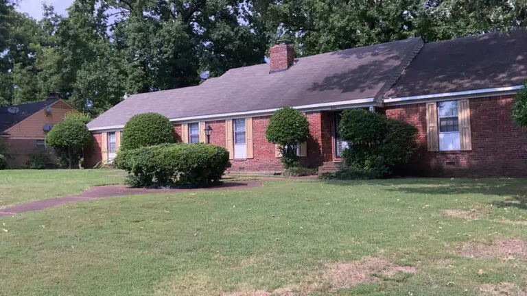 8029dd14 5011 404e b6c8 50d4bf707440.jpg