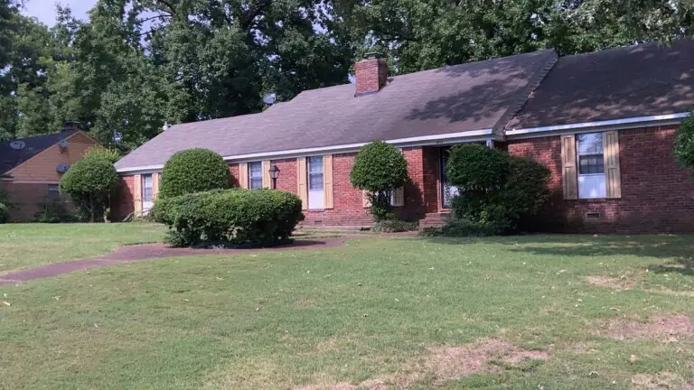 8029dd14 5011 404e b6c8 50d4bf707440.jpg